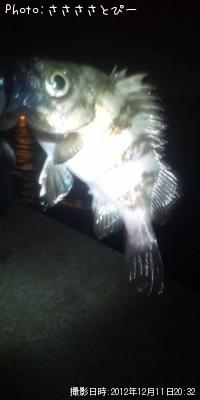 ��������Х�