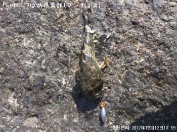 ¥±¥à¥«¥¸¥«¡ª¡©