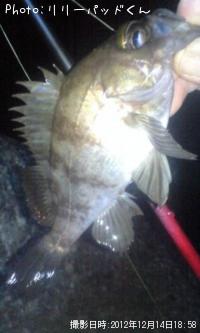 ��Х�����