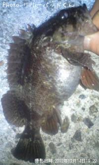 �����Υ�²