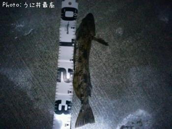 �����ʥ�