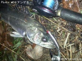 �����Х�