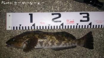 �����ʥ�