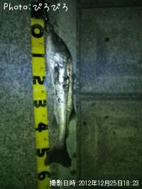 �����Х�