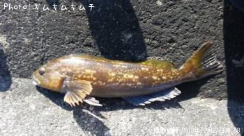 �����ʥ�