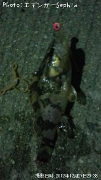 �����Υ���Х�