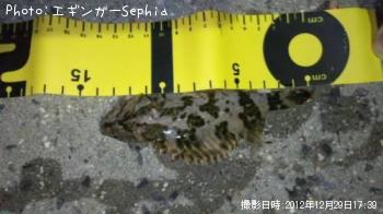 �����Υ���Х�