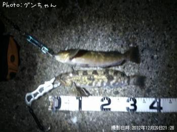 �����ʥ�