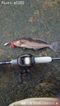 �����ʥ�