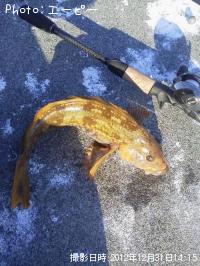 �����ʥ�