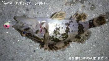 �����Υ���Х�