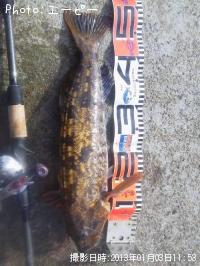 �����ʥ�