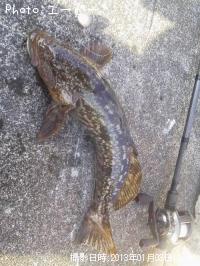 �����ʥ�