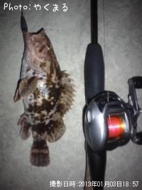 ¥Ù¥Ã¥³¥¦¥½¥¤