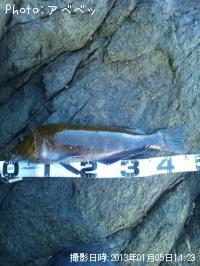 �����ʥ�