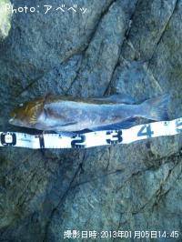 �����ʥ�