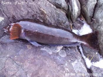 �����ʥ�