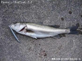 �����Х�