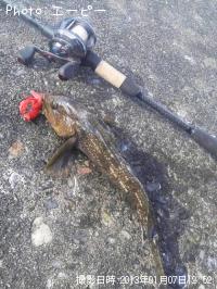 �����ʥ�