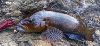 �����ʥ�