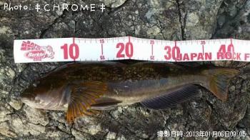 �����ʥ�