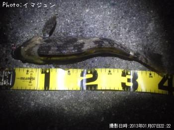 �����ʥ�