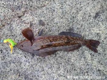 �����ʥ�