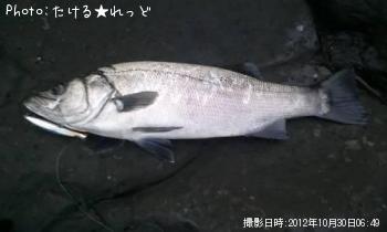 �ҥ饹����