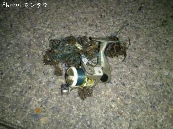 ¥ê¡¼¥ë¤Ç¤¹¡ª