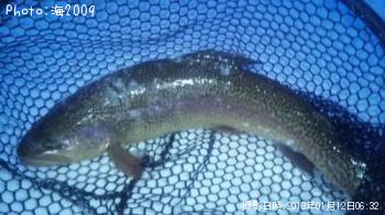 ���å��ȥ饦��