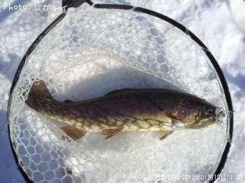 ���å��ȥ饦��