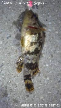 ¥¿¥±¥Î¥³¥á¥Ð¥ë