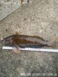 �����ʥ�