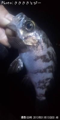 ¥½¥¤¡õ¥á¥Ð¥ë