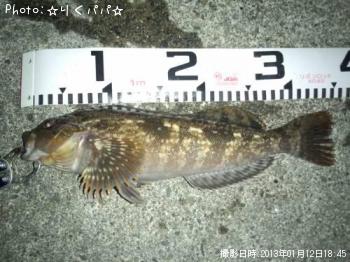 �����ʥ�