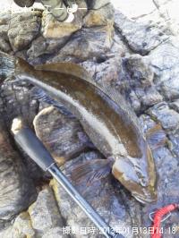 �����ʥ�