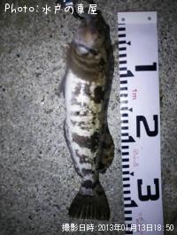 �����ʥ�