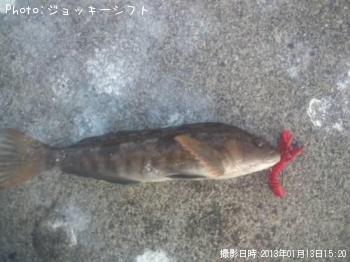 �����ʥ�