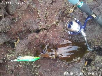 �����ꥤ��