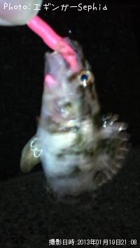 ¥¿¥±¥Î¥³¥á¥Ð¥ë