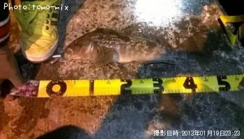 �����ʥ�