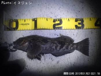 �����ʥ�