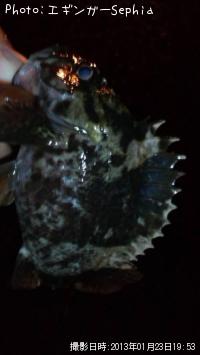 �����Υ���Х�