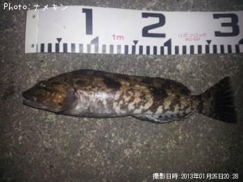 �����ʤ�