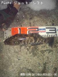 �����ʥ�