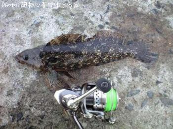 �����ʥ�