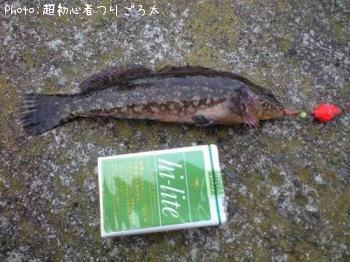 �����ʥ�