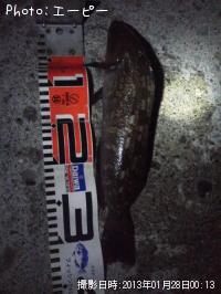 �����ʥ�