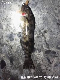 �����ʥ�