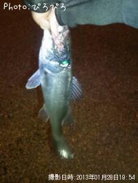 �����Υ���Х�